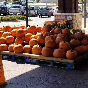 Meet your Posher, Margo